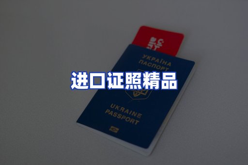 进口证件页面制证
